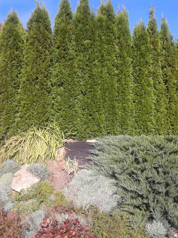 Penzion Stary Dvur Nove Dvory  Exterior photo